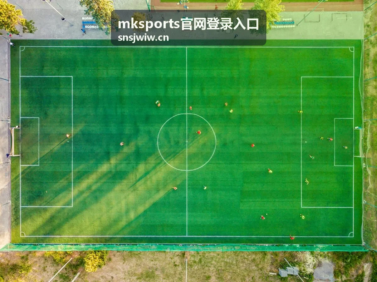 mksports官网登录入口常用设备标记与异地登录提醒示意