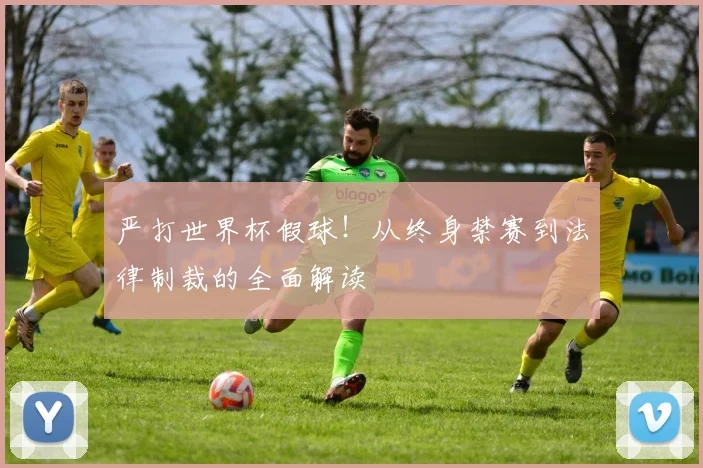 严打世界杯假球!从终身禁赛到法律制裁的全面解读