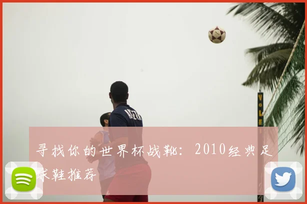 寻找你的世界杯战靴:2010经典足球鞋推荐