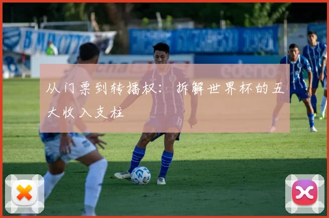 从门票到转播权:拆解世界杯的五大收入支柱
