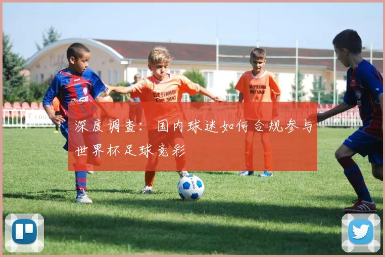 深度调查：国内球迷如何合规参与世界杯足球竞彩